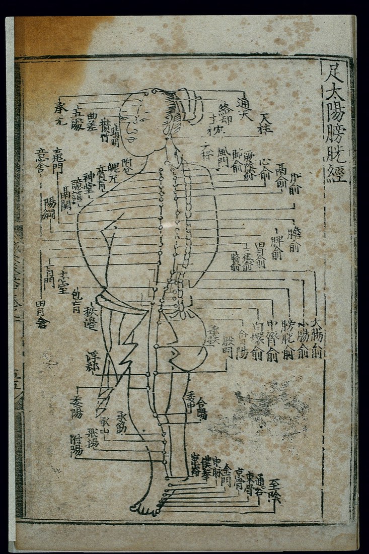 明嘉靖十六年（1537）刻本〈足太陽膀胱經〉木刻圖，膝後委中一點標在膝窩